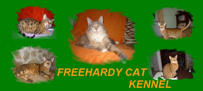 Freehardy Cat Kennel